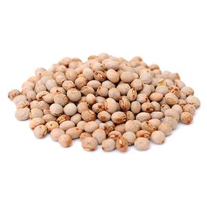 Pigeon Peas (Cajanus cajan)
